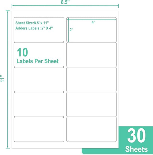 L LIKED 2" x 4" Label Stickers, Printable White 10 per Sheets Total 300 Labels, for Laser/Inkjet Printing - Matte (300 Labels)