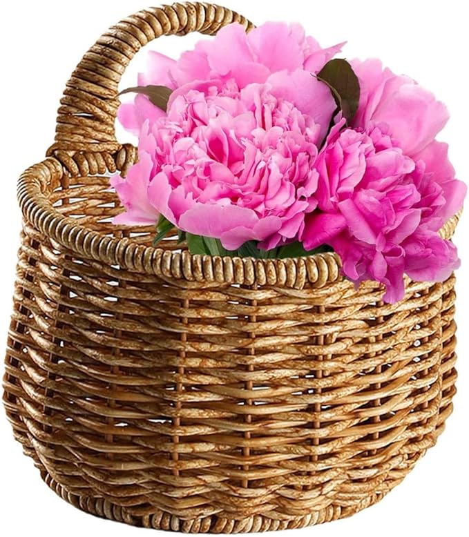 Decorative Woven Storage Basket for Garlic Ginger and Eggs Wall-mounted Kitchen Organizer Rustic Design and Space-saving Home Decor