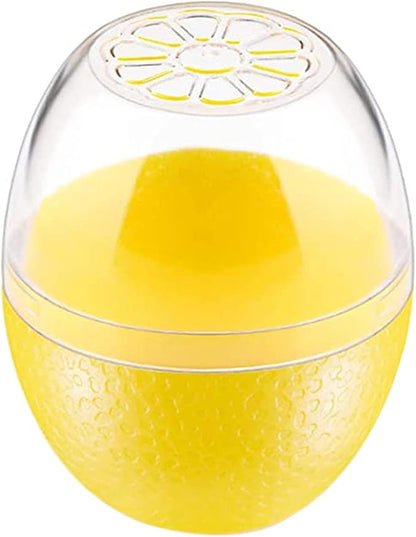 DIMVKA Lemon Storage Containers Lime Saver Fresh Keeper Fruit Storage Holder for Fridge