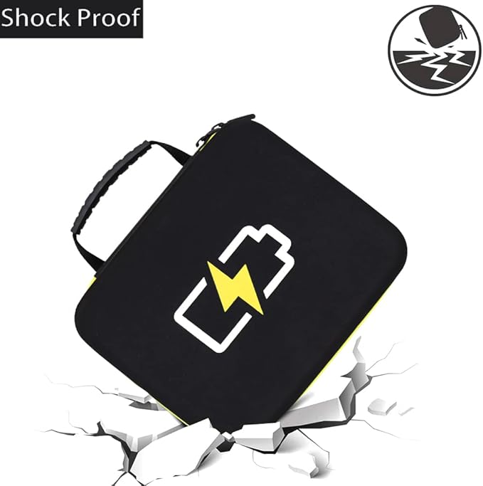 Battery Organizer Case- Hard Storage Box Bag Holder - Holds 60+ Batteries AA AAA C D 9V Tester BT-168 (Batteries are Not Included)