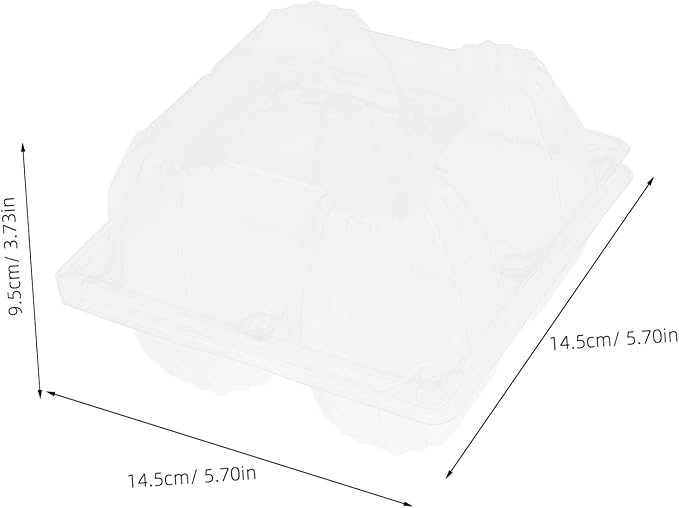 6pcs Goose Egg Packaging Box Reusable Egg Cartons Bulk Storage and Refrigertor for Bulk Orders