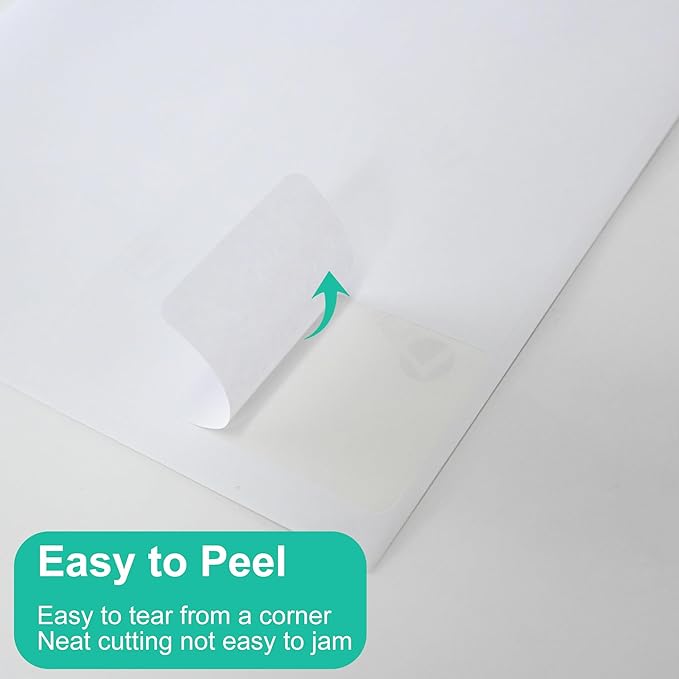 L LIKED 2" x 4" Label Stickers, Printable White 10 per Sheets Total 1000 Labels for Laser/Inkjet Printing - Matte (1000 Labels) (Pack of 2)