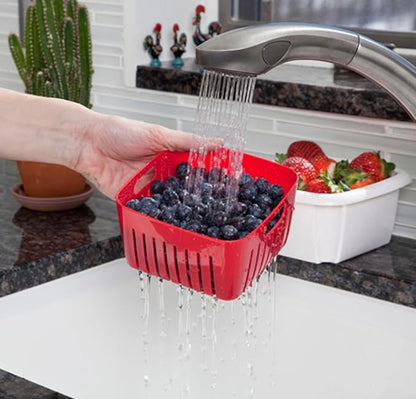 Hutzler Box Berry Keeper, 2-Pint, Gray