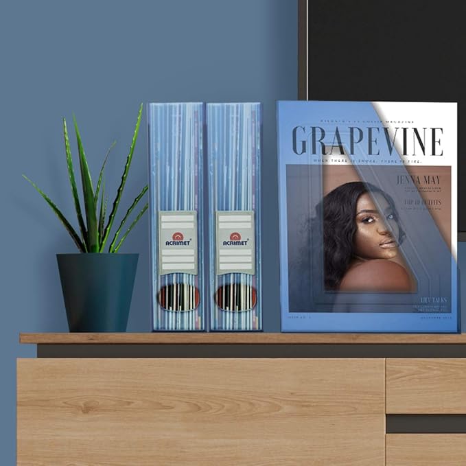 Acrimet Magazine File Holder – Vertical Rack for Documents, Folders and Mail, Durable Plastic Desk Organizer for Office & Home, Clear Blue (2 Pack)