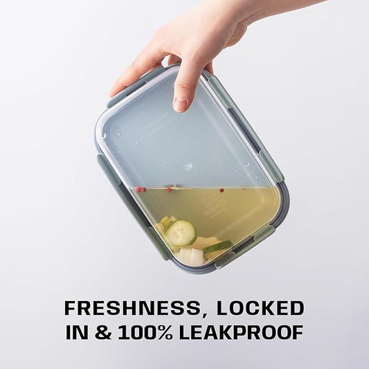 LocknLock HPL413 Classic-Plus Plastic Food Storage Container with Lid for Kitchen, Lunch, Meal Prep, and Leftovers, BPA-Free, Airtight, Leakproof, Microwave, Dishwasher, Freezer-Safe, 420ml
