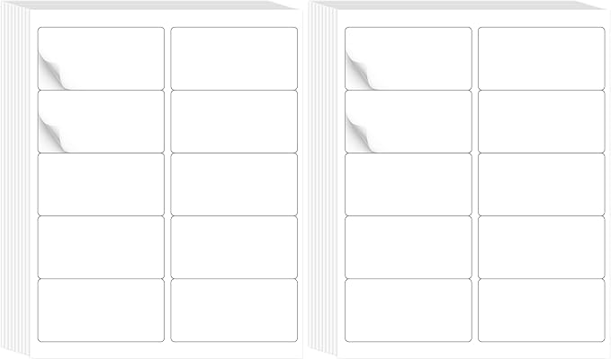 L LIKED 2" x 4" Label Stickers, Printable White 10 per Sheets Total 300 Labels, for Laser/Inkjet Printing - Matte (300 Labels) (Pack of 2)