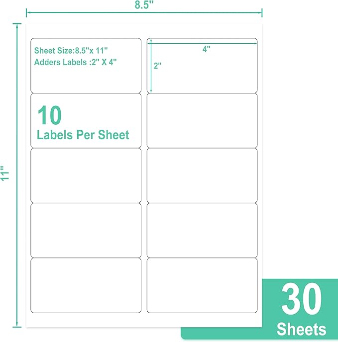 L LIKED 2" x 4" Label Stickers, Printable White 10 per Sheets Total 300 Labels, for Laser/Inkjet Printing - Matte (300 Labels) (Pack of 2)