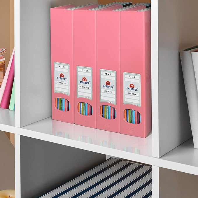 Acrimet Magazine File Holder – Vertical Rack for Documents, Folders and Mail, Durable Plastic Desk Organizer for Office & Home, Solid Pink (2 Pack)