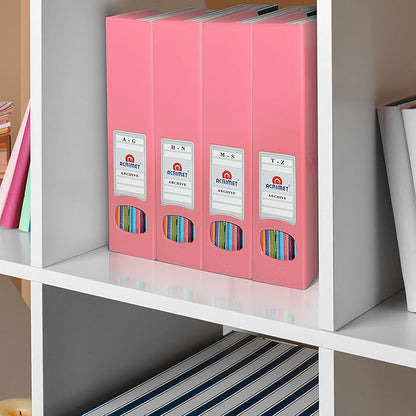 Acrimet Magazine File Holder – Vertical Rack for Documents, Folders and Mail, Durable Plastic Desk Organizer for Office & Home, Solid Pink (2 Pack)