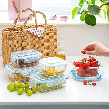 Moss & Stone 10-Piece Borosilicate Glass Meal Prep Containers – 100% Leak-Proof Snap-Lock Lids, Airtight & BPA-Free – Freezer, Microwave & Oven Safe (Glass Only) – Stackable/Nestable Food Storage Set