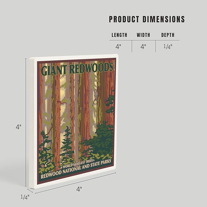 Lantern Press Redwood National Park, California (Absorbent Ceramic Coaster, Single, Cork Back, Kitchen Table Decor)