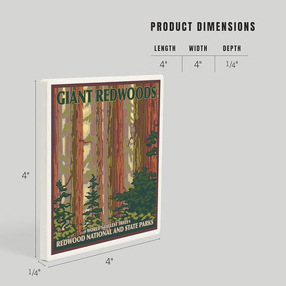 Lantern Press Redwood National Park, California (Absorbent Ceramic Coaster, Single, Cork Back, Kitchen Table Decor)