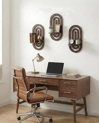Boho Decor Wall Floating Shelves with Oval Wood Design,Dark Brown Wood Display Rack,Three-Piece Set,Suitable for Both Home and Office