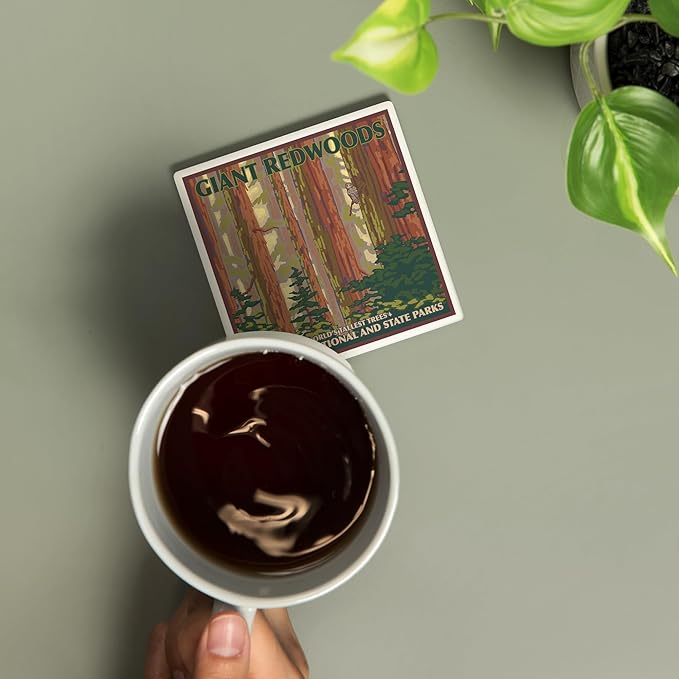 Lantern Press Redwood National Park, California (Absorbent Ceramic Coaster, Single, Cork Back, Kitchen Table Decor)