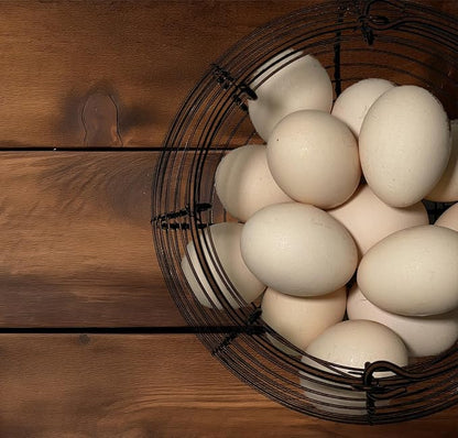 Egg Basket for Gathering Fresh Eggs, Retro Handle Egg Gathering Basket with Mat, Metal Egg Holder Countertop, Chicken Egg Basket for Farmhouse