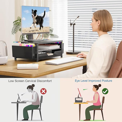 OPNICE Desk Organizer, 2-Tier Computer Monitor Stand Riser with Drawer and 2 Pen Holders, Laptop Stand, Office Desk Accessories for Office Supplies, Black