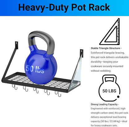 Miyili Pot Rack Square Grid Wall Mounted Kitchen Pot And Pan Organizer Shelf With 10 Hooks, 24 by 10-inch (Black), KR301B1