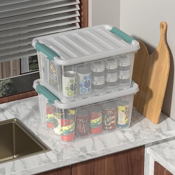 Loiycg 6 Pack Clear Latching Box with Lid, 20 Quart Plastic Storage Bin