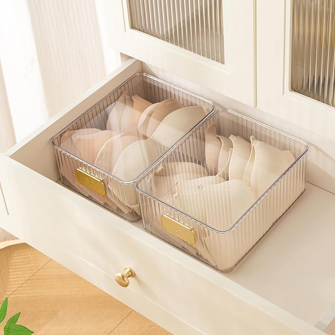 CISIREE Clear Bra Organizer, Plastic Underwear Drawer Organizer with Lid for Closet, Undergarment Storage Ideal for Socks, Bras, Ties, and Scarves