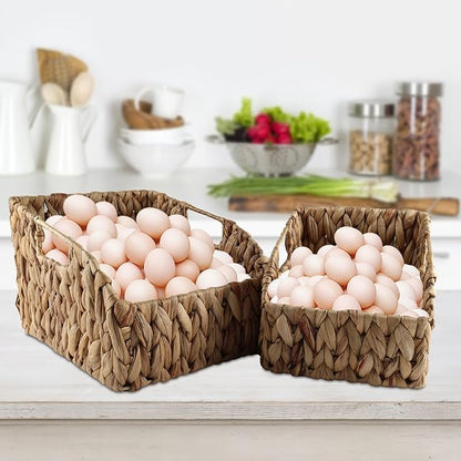 Set of 2 Eggs Collecting Basket with Handle, Farmhouse Wicker Egg Baskets for Gathering Fresh Egg, Trapezoid Egg Holder Display, Vintage Style Fruit Basket for Kitchen Pantry Countertop