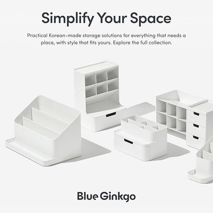 BLUE GINKGO Desk Tray – Korean-Made Organizer for Notes, Pens, Pencils, and Accessories (Double-sided, Green)