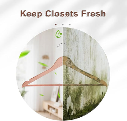 HOUSE DAY Cedar Hangers for Closet 30 Pack, Smooth Cedar Wood Hangers with Rings, 360° Swivel Hook, U-Shape Notched, Non Slip Pant Bar, Sturdy Wooden Clothes Hanger for Coats, Dresses, Suits