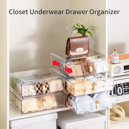 Underwear Drawer Organizer, Stackable Bra Organizer for Closet, 1 Cell Bra Storage, Sock and Underwear Organizer, Closet Organizers and Storage Drawer for Bra, Socks, Tie, Belt, Scarf