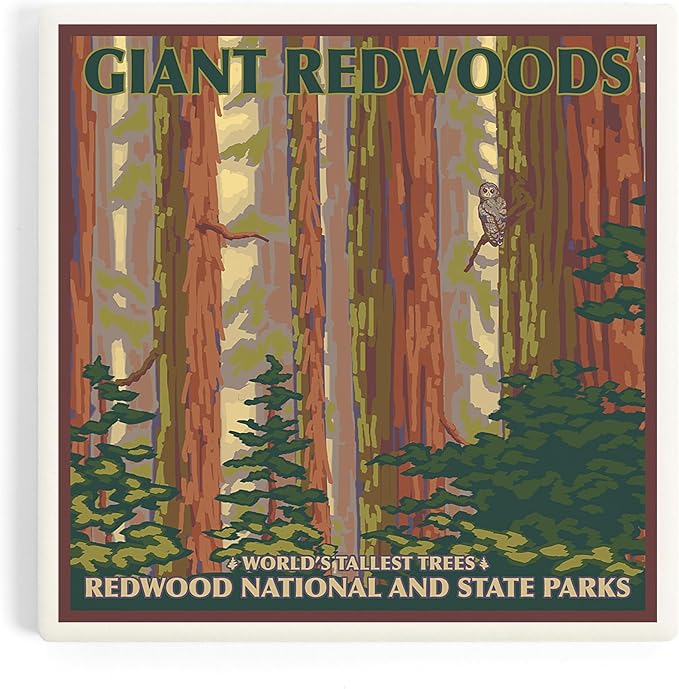 Lantern Press Redwood National Park, California (Absorbent Ceramic Coaster, Single, Cork Back, Kitchen Table Decor)