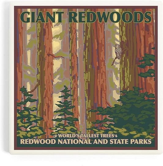 Lantern Press Redwood National Park, California (Absorbent Ceramic Coaster, Single, Cork Back, Kitchen Table Decor)