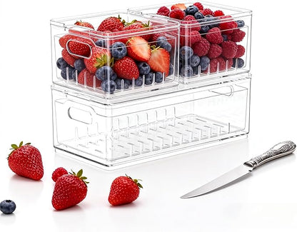 Tayuoo Household Transparent PET Fruit Draining and Washing colander food storage boxes plastic cookie containers refrigerator organizers (3, 1 rectangle 2 squares)