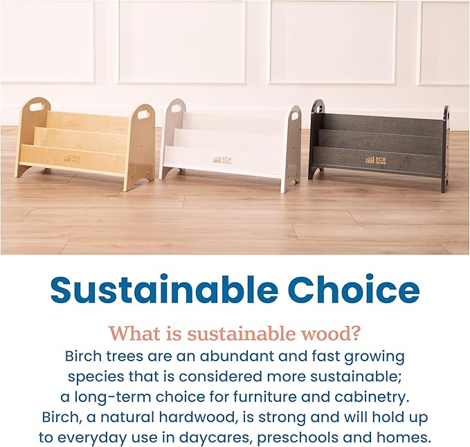 ECR4Kids 2-Shelf Tabletop Book Display with Handles, Beginner Bookshelf, Natural