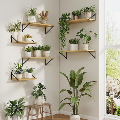 Axeman Deep Floating Shelves | 24 Inch Oak Wall Shelves Set of 2 | 10 Inch Deep Wood Floating Shelves for Wall | 24" W x 10" D Oak Shelves for Living Room Bathroom Kitchen
