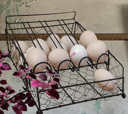 TAIANLE. Wire Egg Basket For Gathering Fresh Eggs with Rolling Tray 2 Tier, Farmhouse Metal Egg Holder Container Countertop, Rustic Display Tray