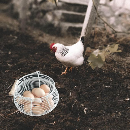 LINCOUNTRY.Chicken Egg Basket for collecting Eggs,Farmhouse Wire Egg Basket for Gathering Fresh Eggs with Handle Vintage Cream Metal Basket for Countertop Kitchen Storage