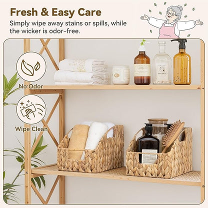 GRANNY SAYS Wicker Storage Baskets for Shelves, Trapezoid Woven Basket with Handles, Storage Wicker Baskets for Pantry, Water Hyacinth, 2-Pack