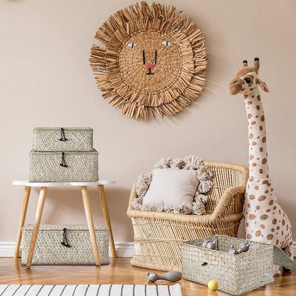 Woanger Set of 4 Wicker Storage Baskets Organizer，Handwoven Storage Bins with Lid for Organizing, Home Utility Box for Home Office Supplies Multipurpose Container(White)
