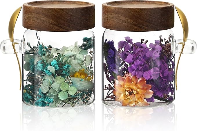 Glass Storage Jar with Bamboo Lids Spoons Glass Coffee Canister Borosilicate Glass Food Container for Coffee Beans Nut Pasta Sugar Candy Spice Rice Loose Tea (300ml/10oz-2 Pack)