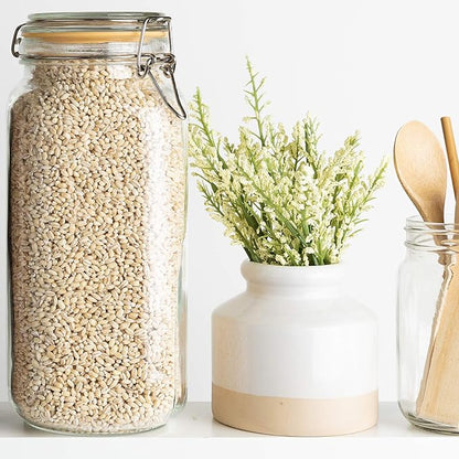 Galashield Glass Jars with Lids [67 oz] Food Storage Jars with Airtight Lids Leak Proof Glass Canisters for Kitchen