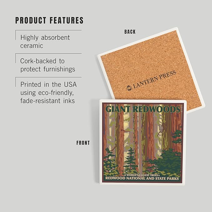 Lantern Press Redwood National Park, California (Absorbent Ceramic Coaster, Single, Cork Back, Kitchen Table Decor)