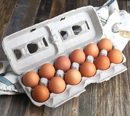 MT Products Printed Natural Pulp Egg Cartons 1 Dozen - Disposable Egg Storage Container (Pack of 25) - Made in the USA