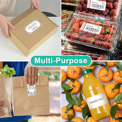L LIKED 2" x 4" Label Stickers, Printable White 10 per Sheets Total 300 Labels, for Laser/Inkjet Printing - Matte (300 Labels) (Pack of 2)