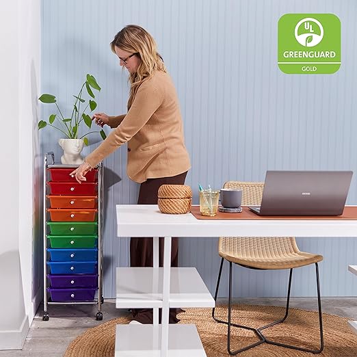 ECR4Kids 10-Drawer Everyday Mobile Organizer, Storage Cart, Assorted