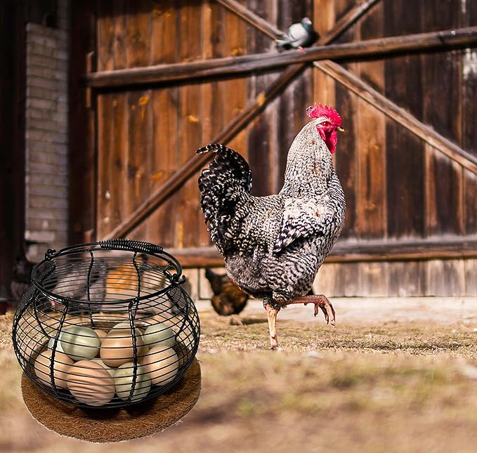 Egg Basket for Gathering Fresh Eggs, Retro Handle Egg Gathering Basket with Mat, Metal Egg Holder Countertop, Chicken Egg Basket for Farmhouse