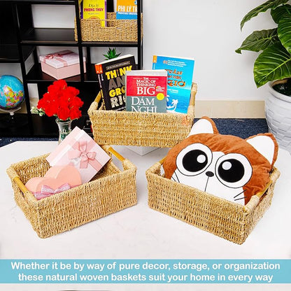 Natural Seagrass Storage Basket with Handle, Rectangular Woven Organizer Bin for Living Room or Shelf, Decorative Storage Basket, Medium Size 13.4 x 9.3 x 4.9 Inches
