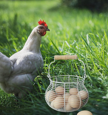 LINCOUNTRY.Chicken Egg Basket for collecting Eggs,Farmhouse Wire Egg Basket for Gathering Fresh Eggs with Handle Vintage Cream Metal Basket for Countertop Kitchen Storage