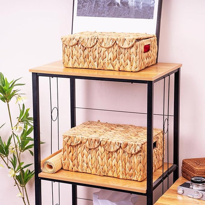 Scalloped Edge Wicker Basket with Lids, Rectangle Wicker Storage Basket with Built-in Handles, Multipurpose Organizer Rattan Display Boxes for Shelf, Nursery Room, Set of 2